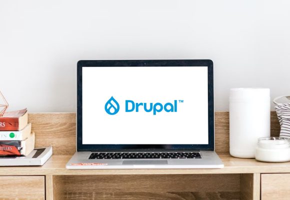 drupal-cms-development-company